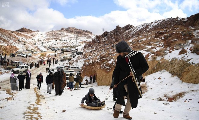 الثلوج تغطي الجبال والجمال في السعودية (صور)