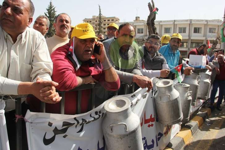 المزارعون يصطحبون الابقار والدجاج إلى اعتصام مجلس النواب - فيديو وصور