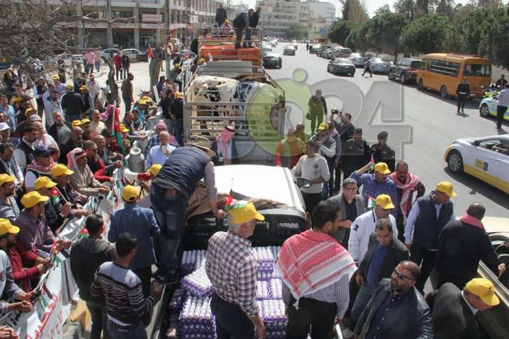 المزارعون يصطحبون الابقار والدجاج إلى اعتصام مجلس النواب - فيديو وصور