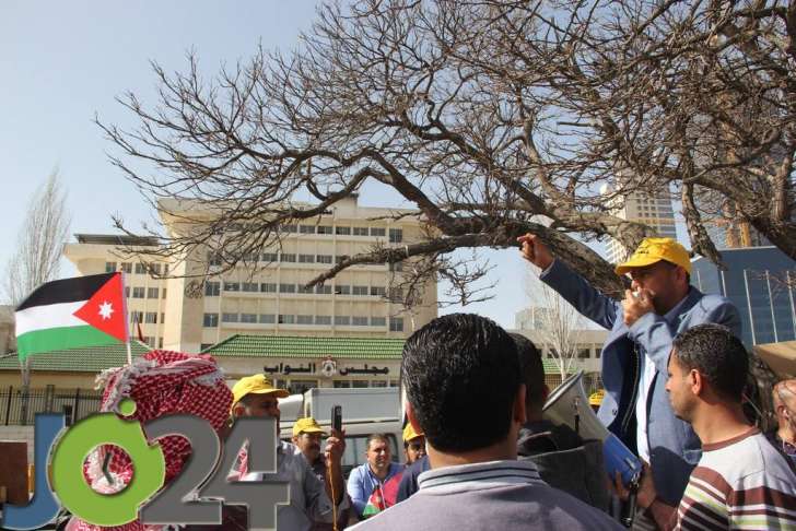 المزارعون يصطحبون الابقار والدجاج إلى اعتصام مجلس النواب - فيديو وصور