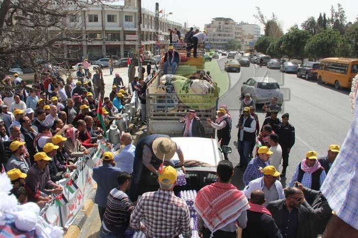 المزارعون يصطحبون الابقار والدجاج إلى اعتصام مجلس النواب - فيديو وصور