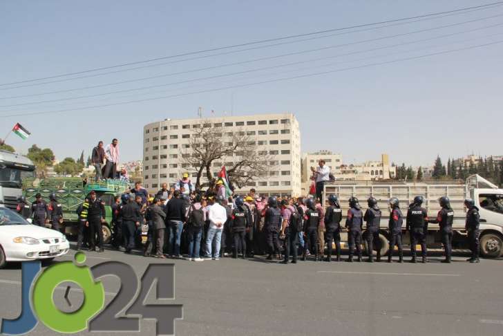 المزارعون يصطحبون الابقار والدجاج إلى اعتصام مجلس النواب - فيديو وصور