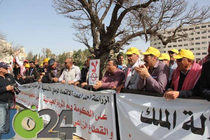 المزارعون يصطحبون الابقار والدجاج إلى اعتصام مجلس النواب - فيديو وصور