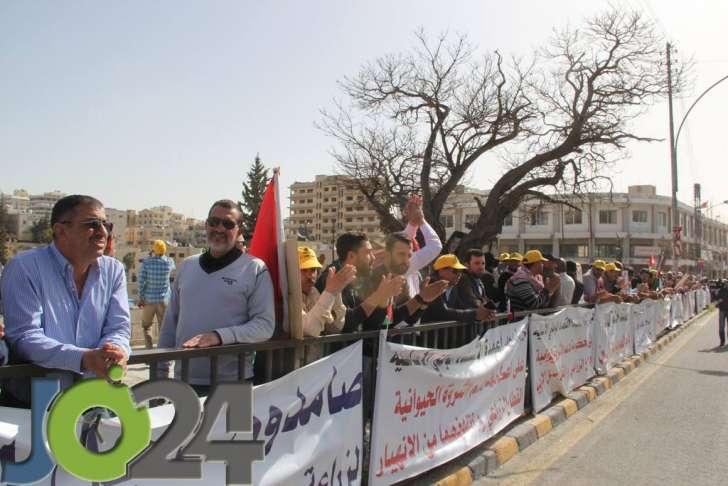 المزارعون يصطحبون الابقار والدجاج إلى اعتصام مجلس النواب - فيديو وصور