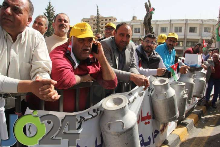 المزارعون يصطحبون الابقار والدجاج إلى اعتصام مجلس النواب - فيديو وصور