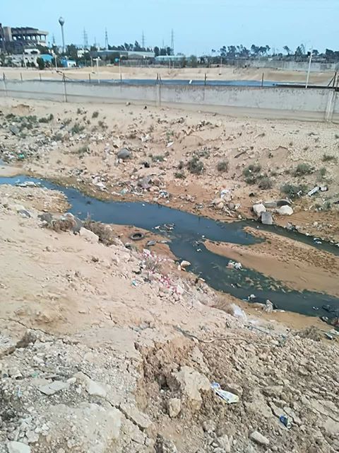 حشرات تتسبب بطفح جلدي لاطفال في الزرقاء - صور 