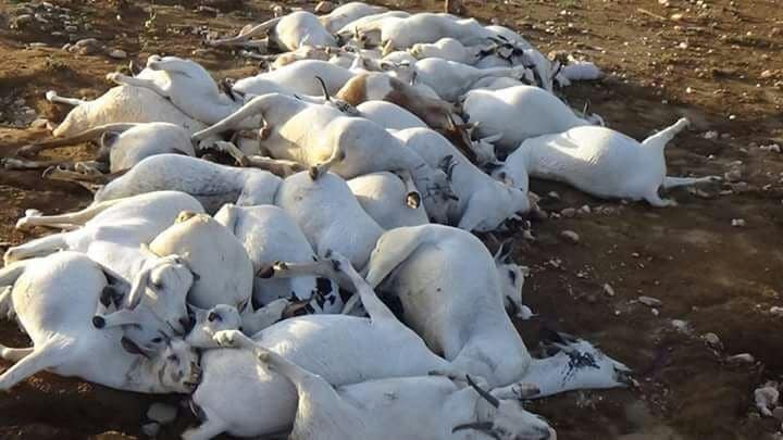 شاهد صور مرعبة تظهر آثار الدمار الذي خلّفه اعصار مكونو في سلطنة عمان