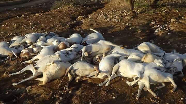 شاهد صور مرعبة تظهر آثار الدمار الذي خلّفه اعصار مكونو في سلطنة عمان