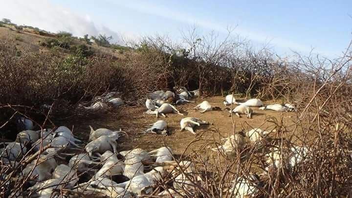 شاهد صور مرعبة تظهر آثار الدمار الذي خلّفه اعصار مكونو في سلطنة عمان