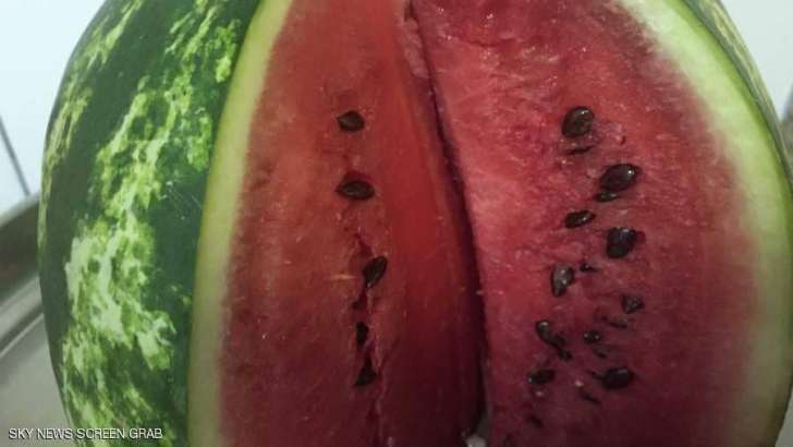 بنظرة فقط .. علامة لا تخطئ لاختيار البطيخة الحمراء – صور