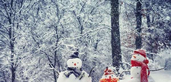 مشهد غريب عجيب.. فيلة وزرافات وثلوج في أفريقيا (صور)