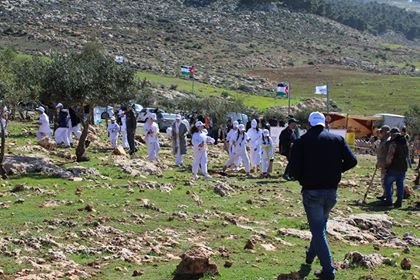 زراعة اشجار في زبود احتفالا بعيد ميلاد جلالة الملك