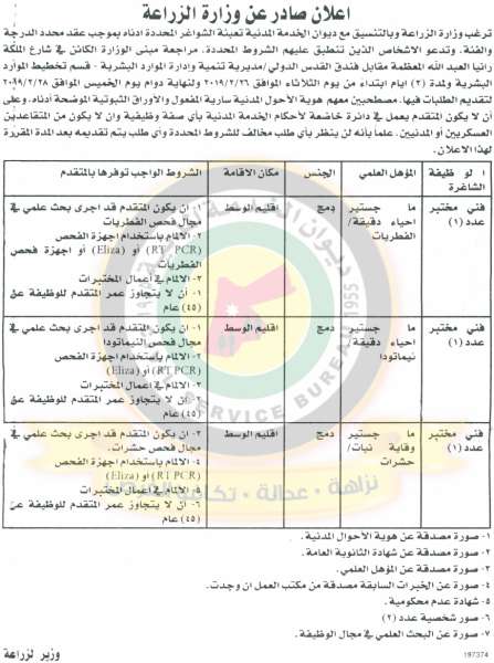 وظائف شاغرة ومدعوون للتعيين في مختلف الوزارات - أسماء