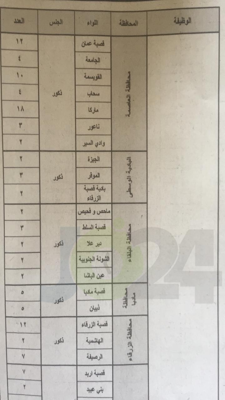 الخدمة المدنية يعلن وظائف الفئة الثالثة المتوفرة لعام 2019.. وبدء التقديم عليها الأحد - تفاصيل