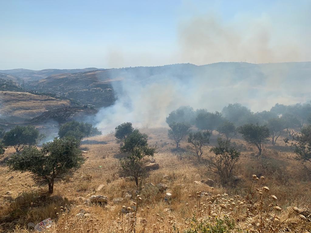 حريق يلتهم عشرات الدونمات في ابو السوس.. والدفاع المدني يعزز فرق الاطفاء في المنطقة - صور وفيديو