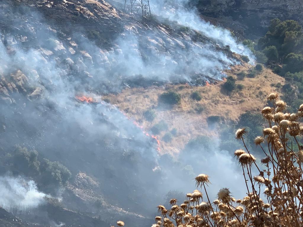 حريق يلتهم عشرات الدونمات في ابو السوس.. والدفاع المدني يعزز فرق الاطفاء في المنطقة - صور وفيديو