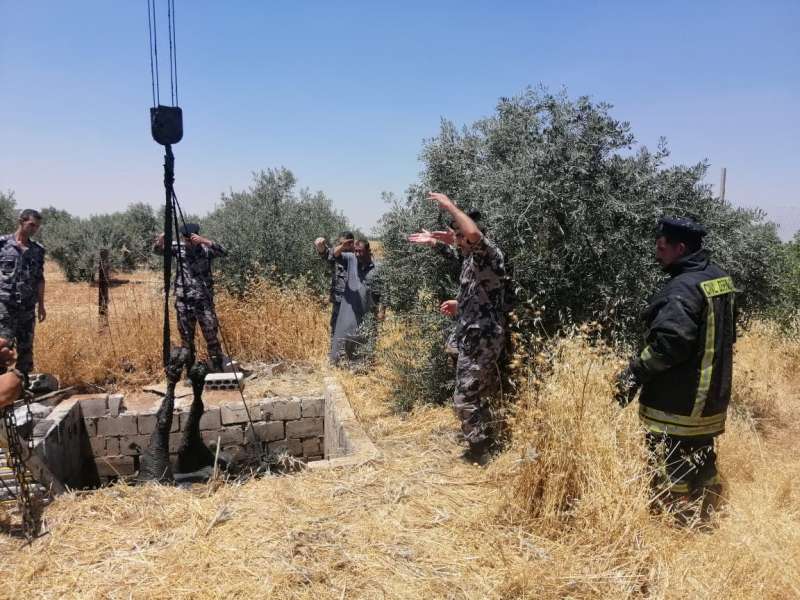 الدفاع المدني ينقذ بقرتين من داخل حفرة في محافظة اربد