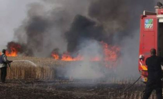 الدفاع المدني في اربد يخمد حريق اعشاب جافة