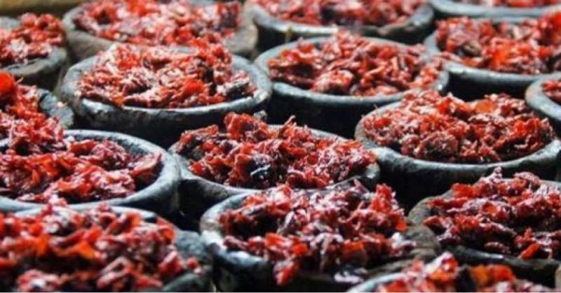 مصدر رسمي ل الاردن 24 : قضية مصنع المعسل ما زالت قيد التحقيق