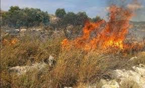 إخماد حريق أعشاب جافة ومحاصيل زراعية في عجلون