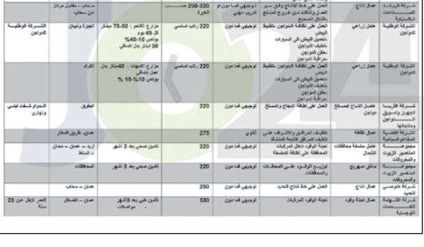 وزارة العمل تعلن الدفعة الأولى من فرص العمل في القطاع الخاص (التفاصيل)