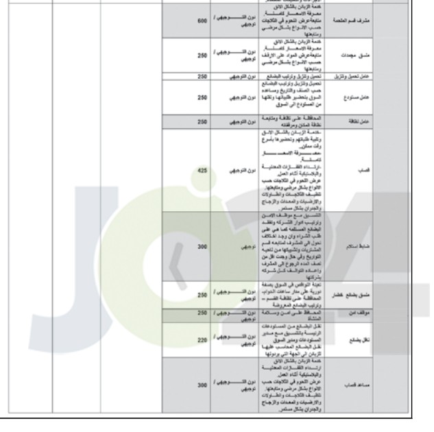 وزارة العمل تعلن الدفعة الأولى من فرص العمل في القطاع الخاص (التفاصيل)