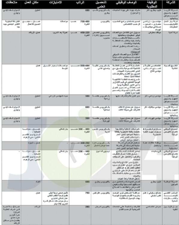 وزارة العمل تعلن الدفعة الأولى من فرص العمل في القطاع الخاص (التفاصيل)