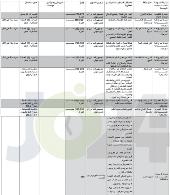 وزارة العمل تعلن الدفعة الأولى من فرص العمل في القطاع الخاص (التفاصيل)