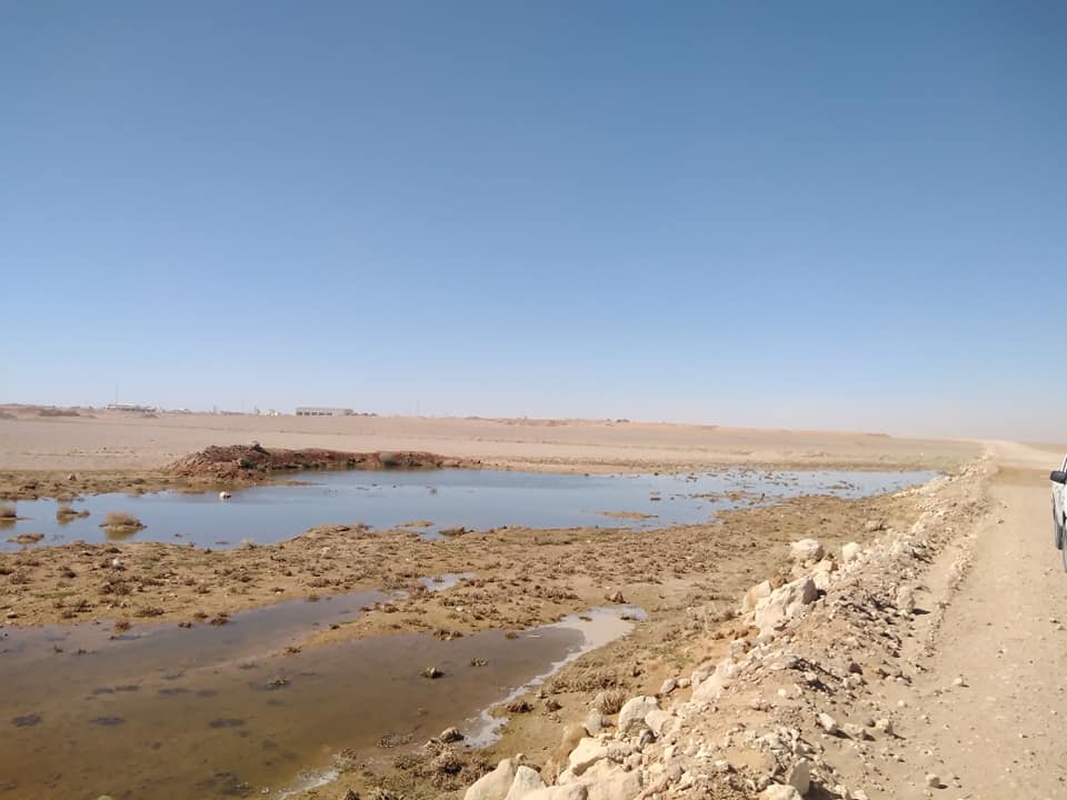 مليحان: الفوسفات تزحف على الأراضي الرعوية في الجفر وتقضي على الأشجار.. وتنشر الأوبئة بين الناس