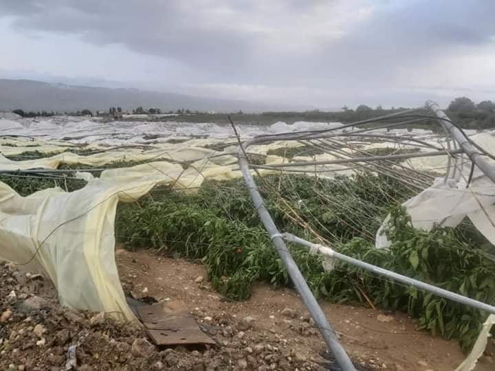 وادي الاردن اضرار فادحة للمزارعين وخسائر بمئات الالاف الدنانير نتيجة الأحوال الجوية