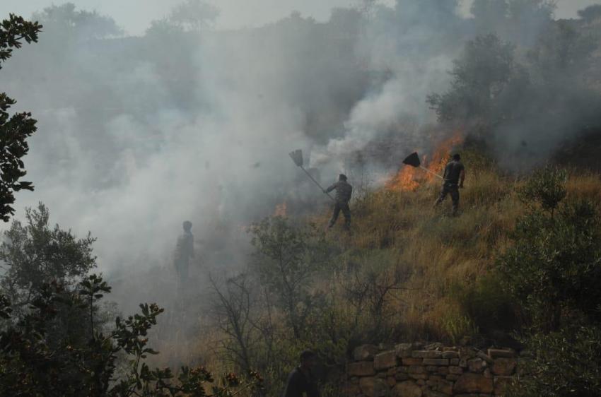 الدفاع المدني يتعامل مع 5984 حالة إسعافية و342 حريق أعشاب وأشجار