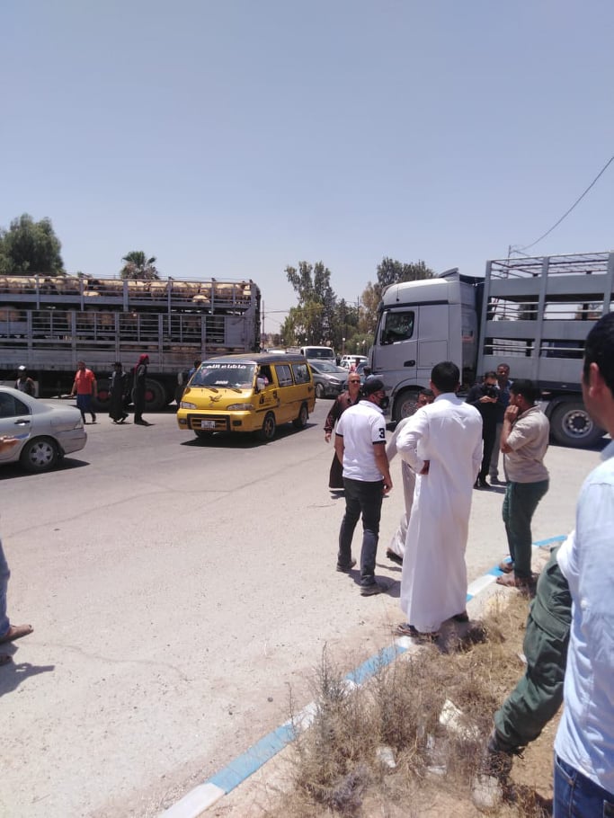 مربو ماشية يغلقون دوار الدبابة في المفرق.. والزراعة ترد - صور