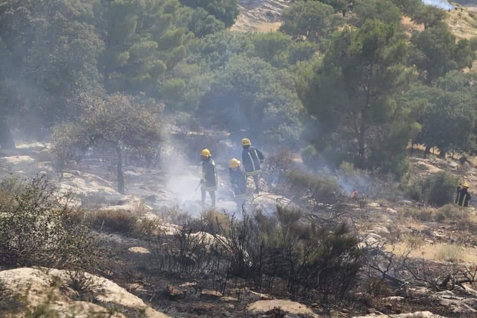 الدفاع المدني يخمد حريق 2500 دونم في عمان ويستعين بطائرة - صور