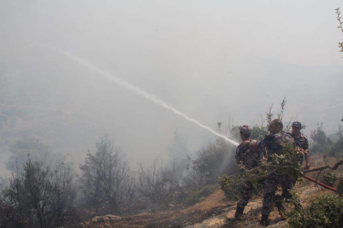 الدفاع المدني يكافح حريقا واسعا في غابات عجلون - صور