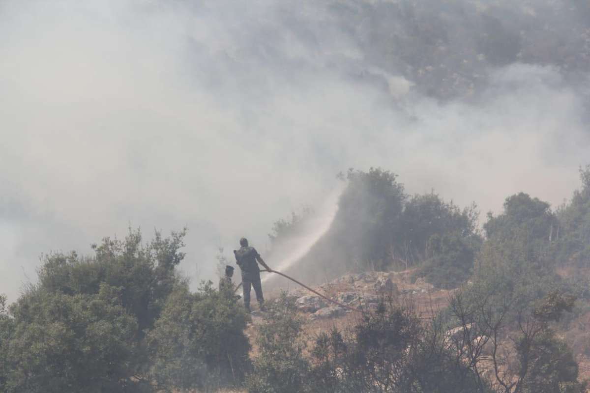 الدفاع المدني يكافح حريقا واسعا في غابات عجلون - صور