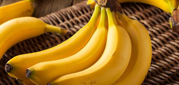 الزراعة تمنع استيراد أية كمية من الموز اعتبارا من اليوم