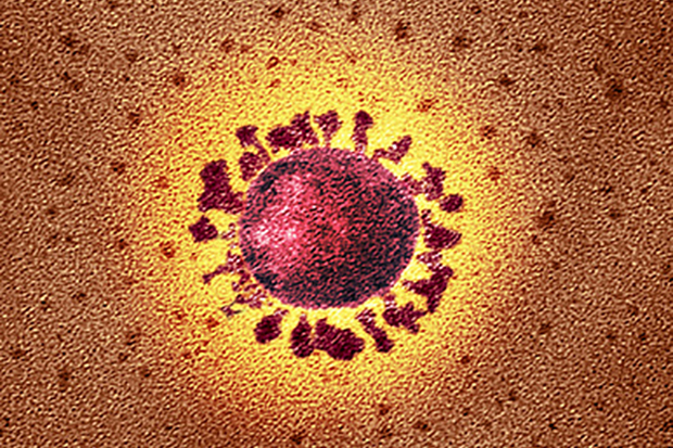 المتغير الجديد لفيروس كورونا يؤدي إلى تفاقم الجائحة