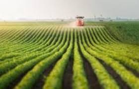 زراعة النواب: توصيات للحكومة للنهوض بالقطاع الزراعي