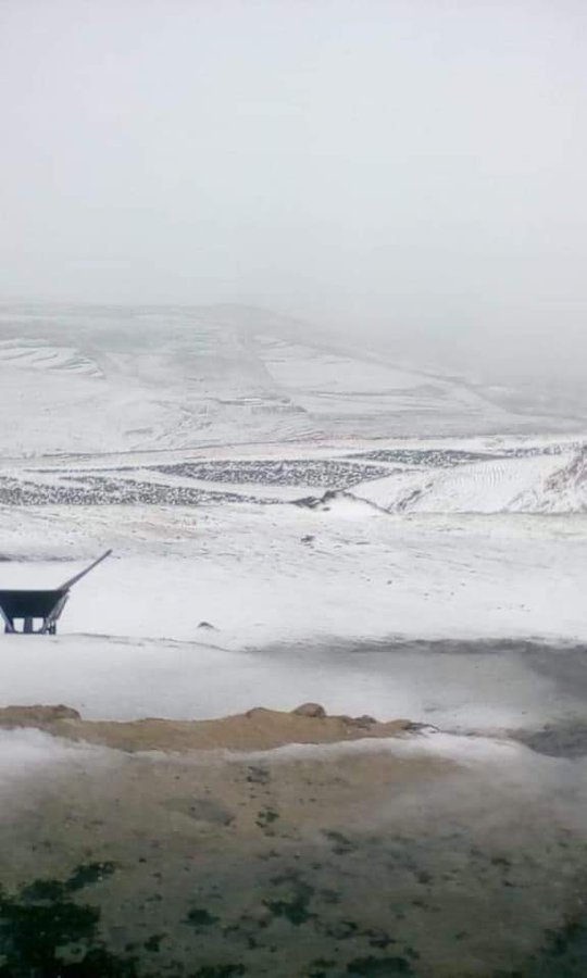 عمان تنتظر دورها.. بدء تساقط الثلوج على المرتفعات الشمالية والجنوبية - صور