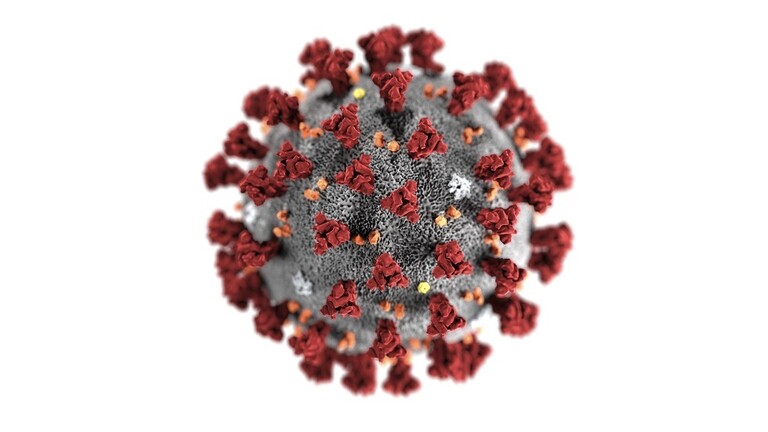 روس تريب نادزور: أول صورة في العالم للسلالة البريطانية من فيروس كورونا