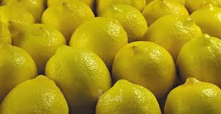 الزراعة: استقبال طلبات استيراد الليمون اعتبارا من الغد