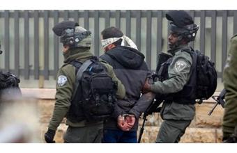 الخليل :استشهاد مسنة فلسطينية دهسا من قبل مستوطن