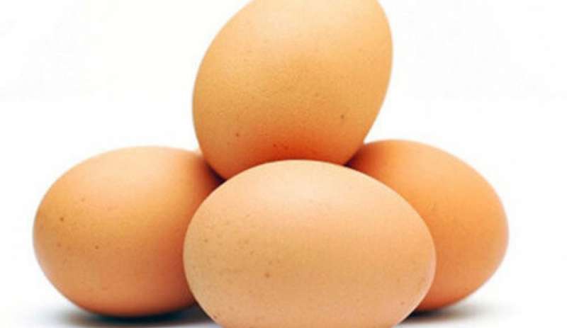 اختبار بسيط في 3 ثوان… كيف تعرف البيض الفاسد؟