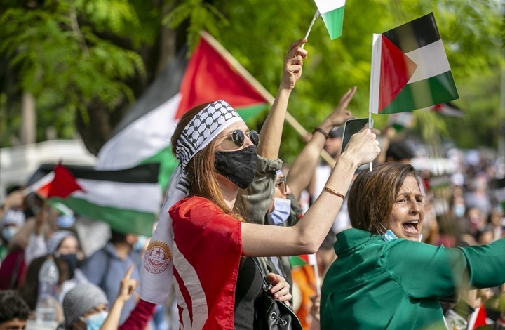 استمرار فعاليات التضامن العربي الشعبي مع فلسطين (شاهد)