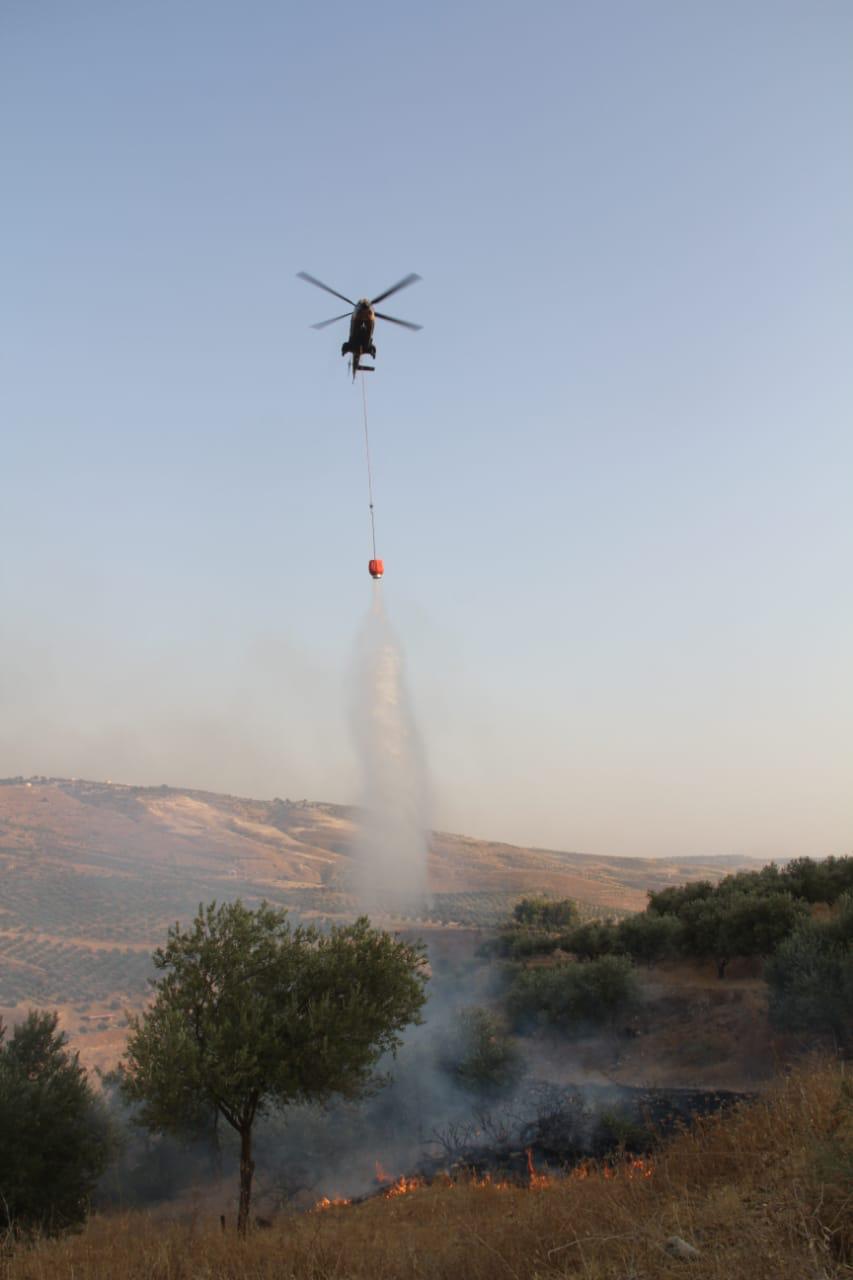الدفاع المدني يخمد حريقاً لأعشاب جافة وأشجار حرجية وقصيب في محافظة إربد