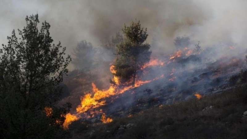 حريق كبير بمستوطنة كريات شمونة