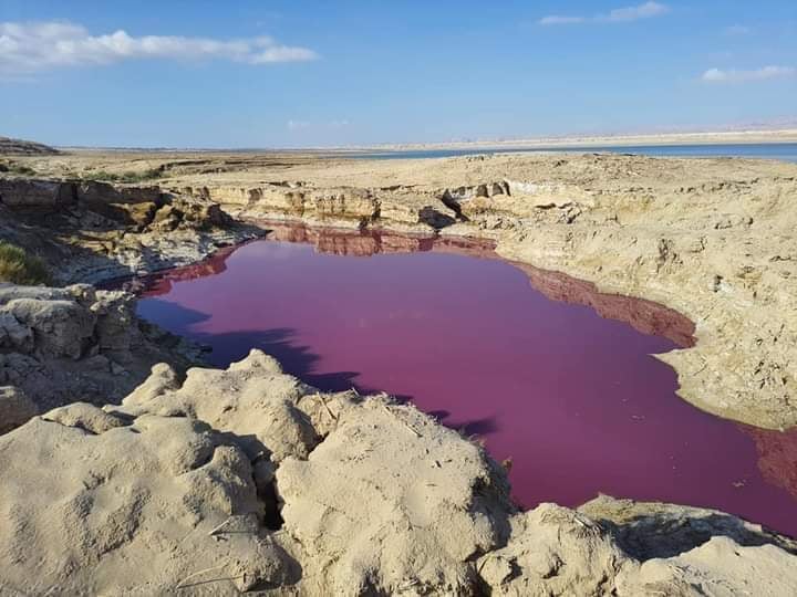 المياه : بركة المياه الحمراء لا تصب بالبحر الميت