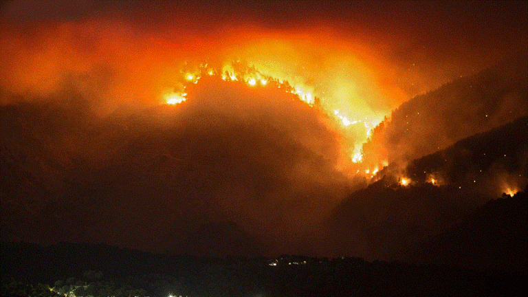 إسبانيا.. السيطرة على حريق دمّر 9700 هكتار من الغابات (فيديو)