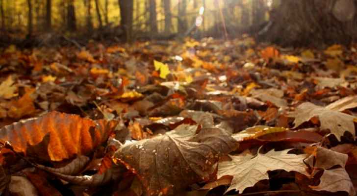 الارصاد: فصل الخريف سيبدأ الاربعاء.. ويستمر ثلاثة اشهر