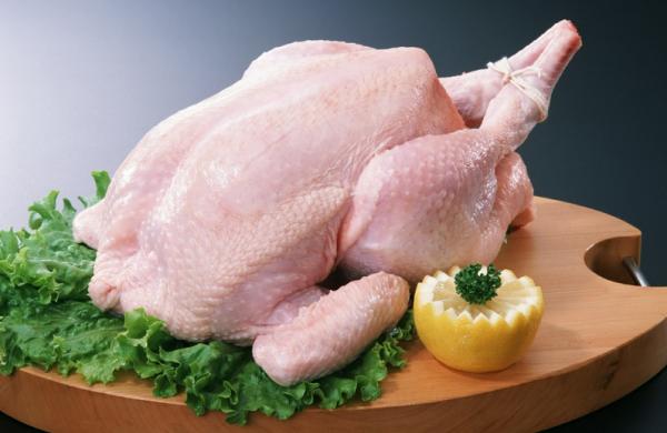 المحاسبة : رغم حظر استيراده لمرض فيروسي .. ادخال 419 طن دجاج أوكراني للأردن في 2020